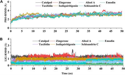 Deciphering the active constituents of Dabushen decoction of ameliorating osteoarthritis via PPARγ preservation by targeting <mark class="highlighted">DNMT1</mark>